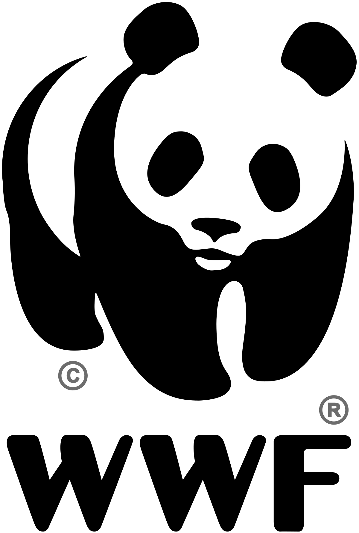 Slide 16